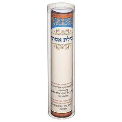 מגילת אסתר במיכל פי.וי.סי